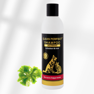 Shampooing ACTIMUE