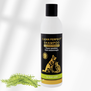 Shampooing CAVIAR POWER