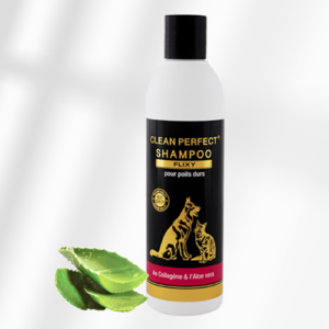 Shampooing FLIXY