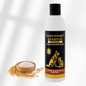 Shampooing PROTEIN+