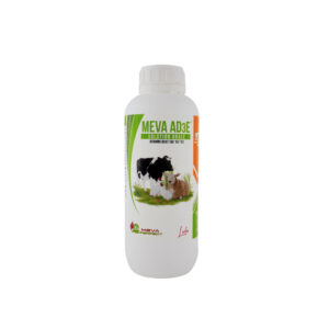 MEVA AD3E®-<br> Solution Orale