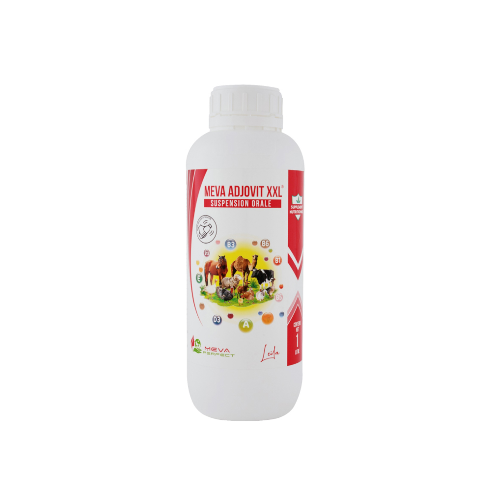 MEVA ADDJOVIT XXL – Suspension Orale