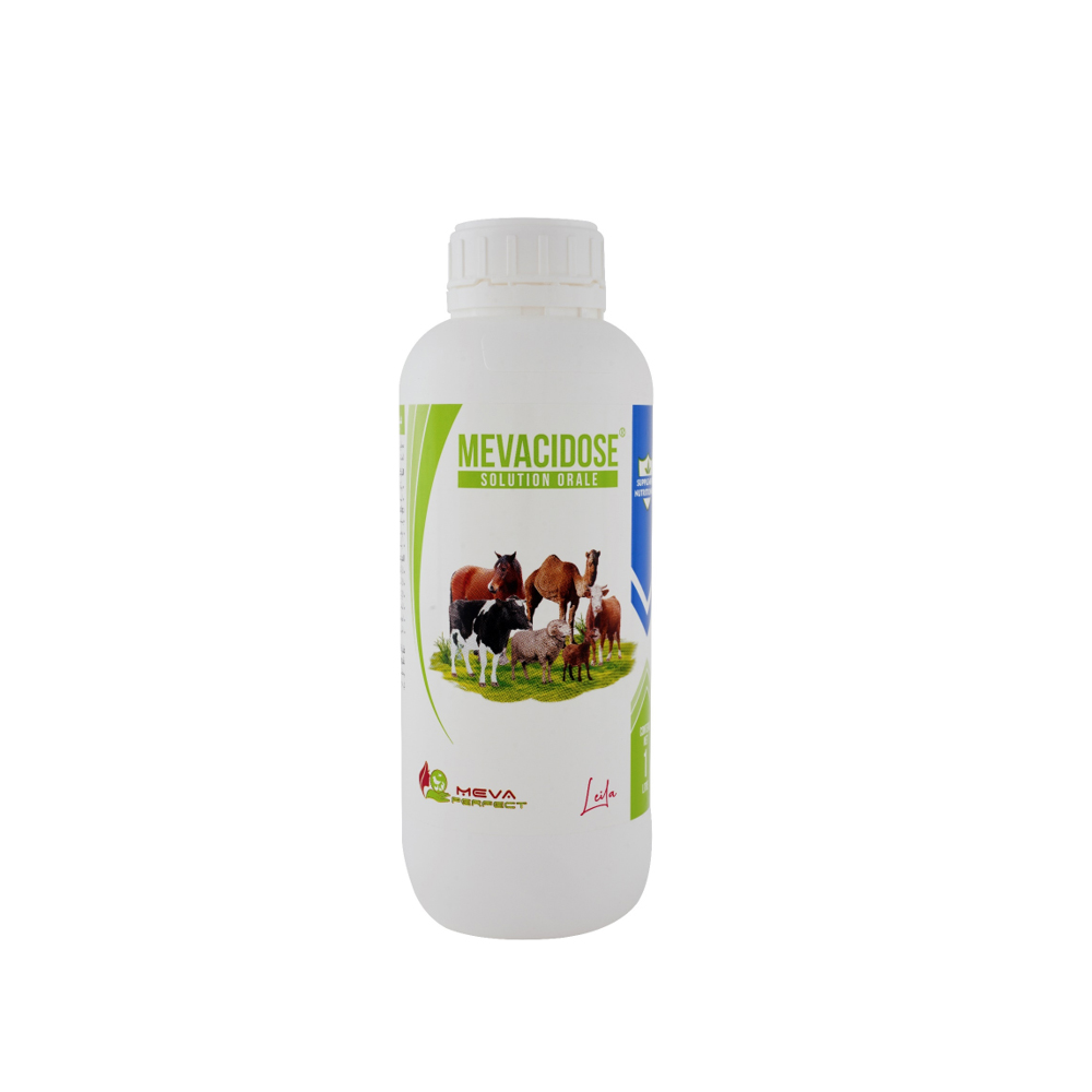 MEVACIDOSE®- <br>Solution Orale