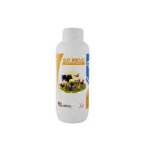 MEVA MINERALS®- <br>Solution Orale