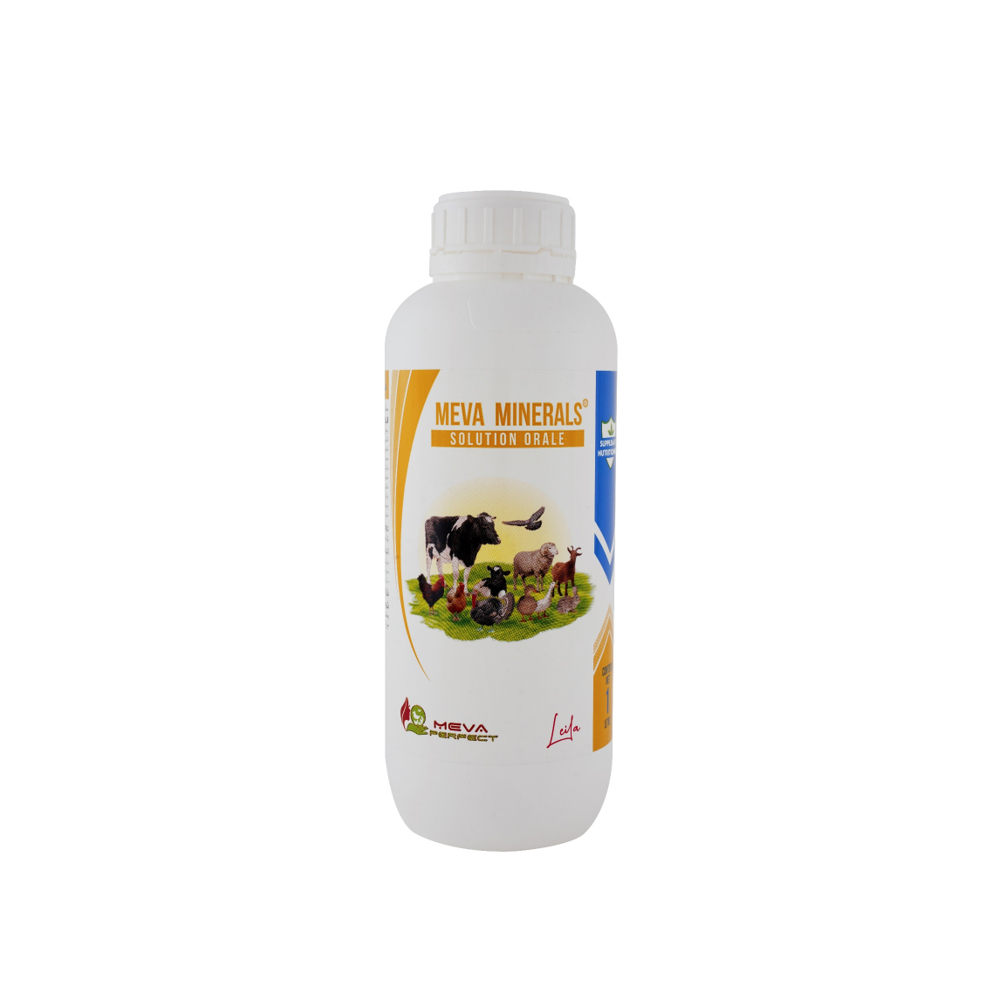 MEVA MINERALS®- <br>Solution Orale