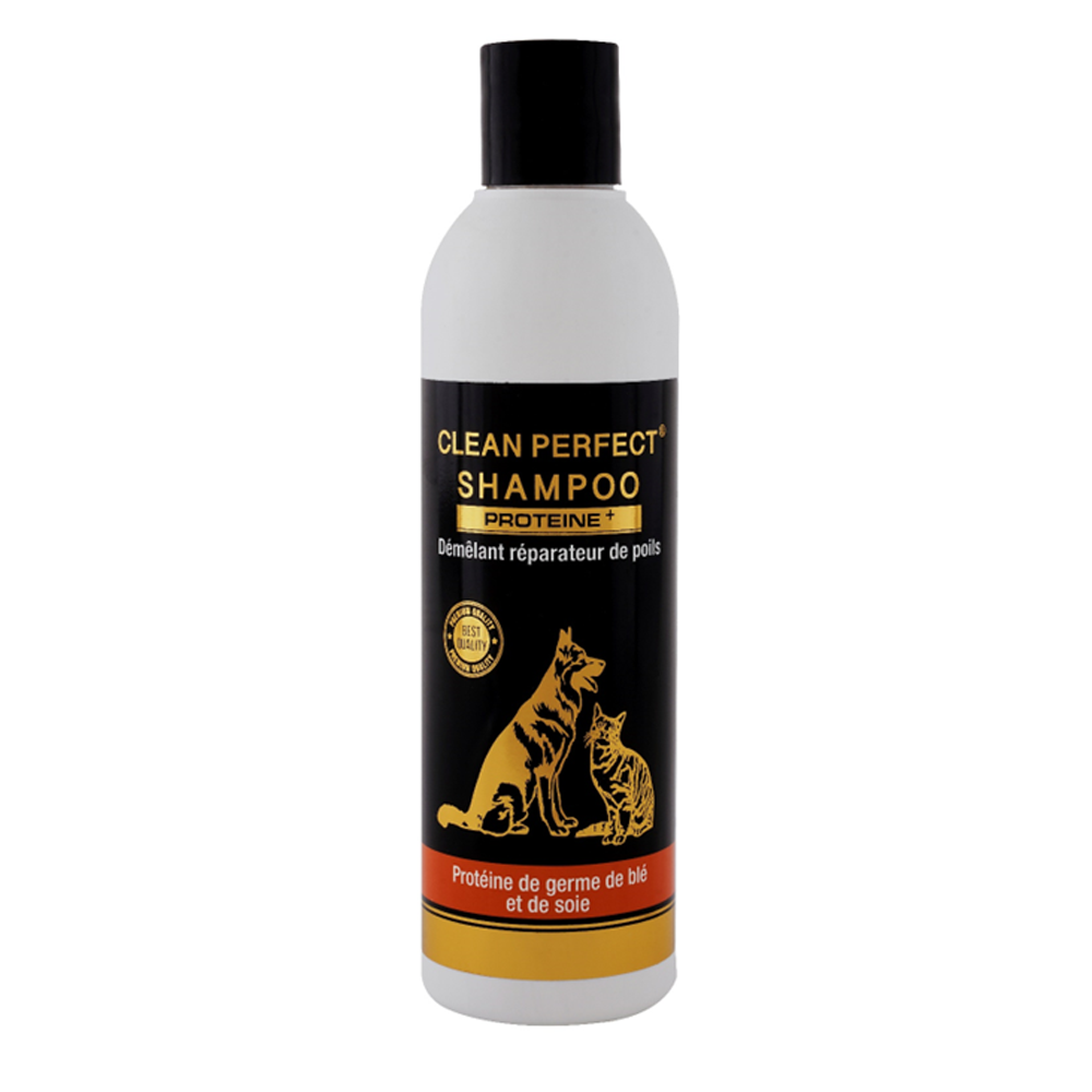 CLEAN PERFECT® SHAMPOO PROTEINE+ – Shampoing Démêlant & Réparateur pour Chiens et Chats