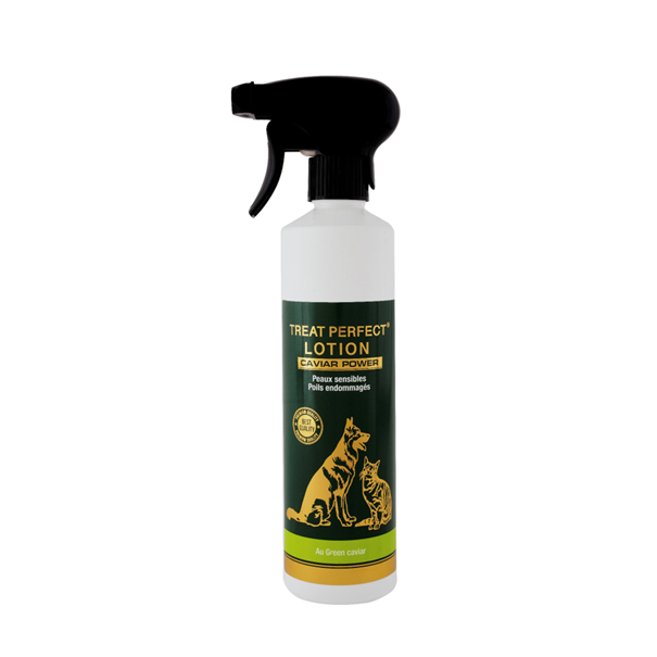 TREAT PERFECT® LOTION CAVIAR POWER – Spray Réparateur Intensif pour Peaux Sensibles & Poils Endommagés