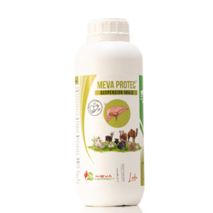 MEVA PROTEC® – Suspension Orale Premium pour la Protection Hépatique des Animaux