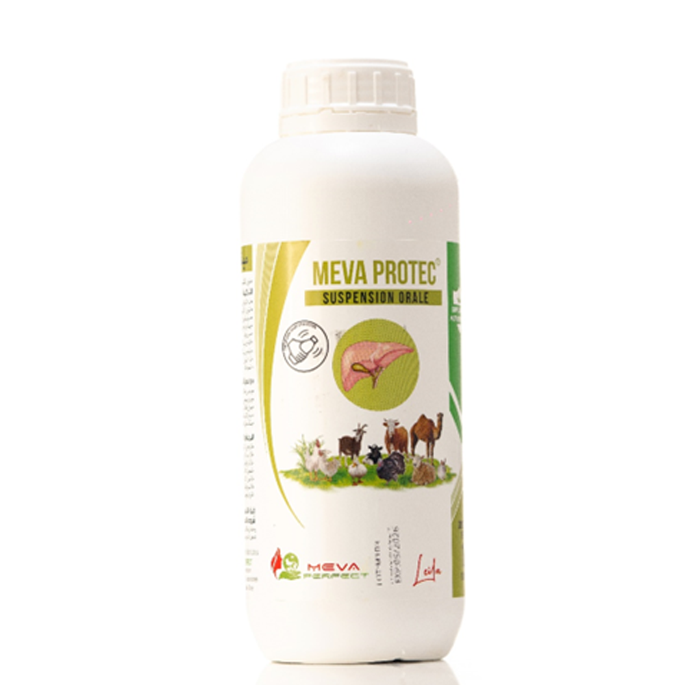 MEVA PROTEC® – Suspension Orale Premium pour la Protection Hépatique des Animaux