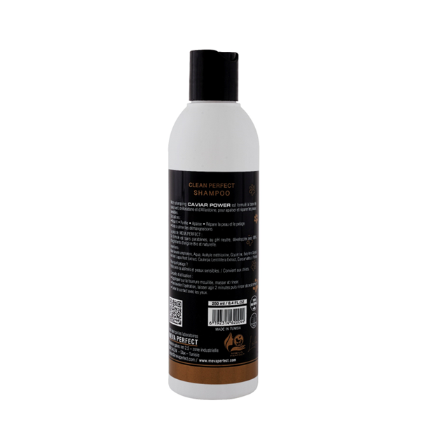 CLEAN PERFECT® SHAMPOO CAVIAR POWER – Shampoing Réparateur pour Peaux Sensibles & Poils Endommagés – Image 2