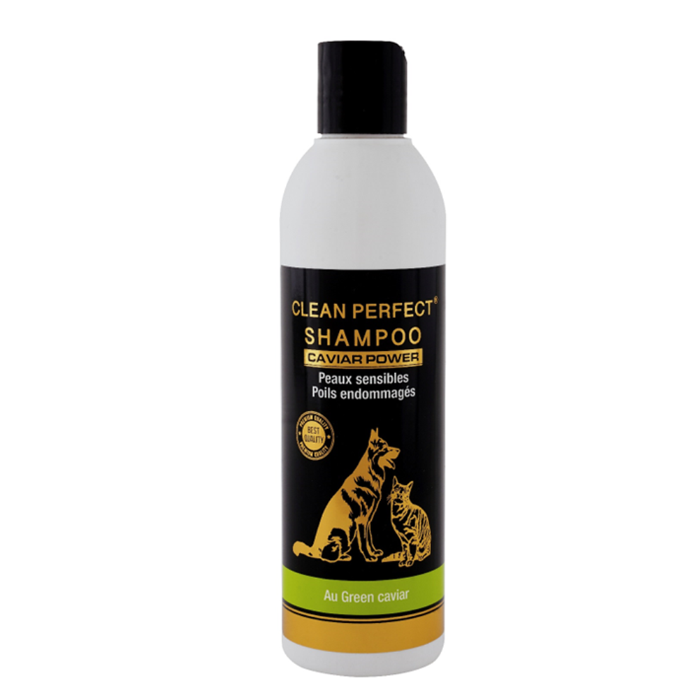 CLEAN PERFECT® SHAMPOO CAVIAR POWER – Shampoing Premium pour Peaux Sensibles & Poils Endommagés