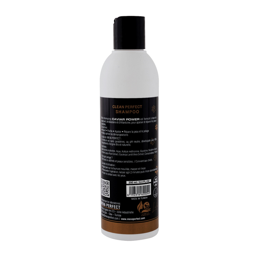 CLEAN PERFECT® SHAMPOO CAVIAR POWER – Shampoing Premium pour Peaux Sensibles & Poils Endommagés – Image 2